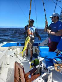 Cabo San Lucas Report Photo 1