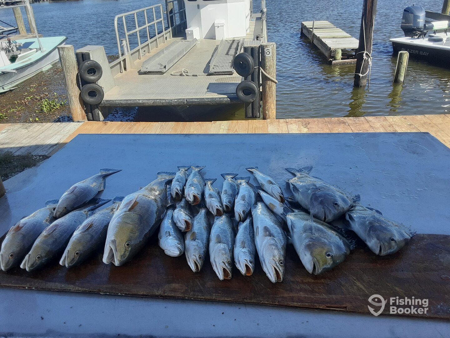 Lafitte Report Photo 0
