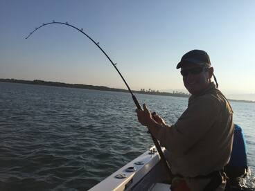 Puerto Vallarta Report Photo 2