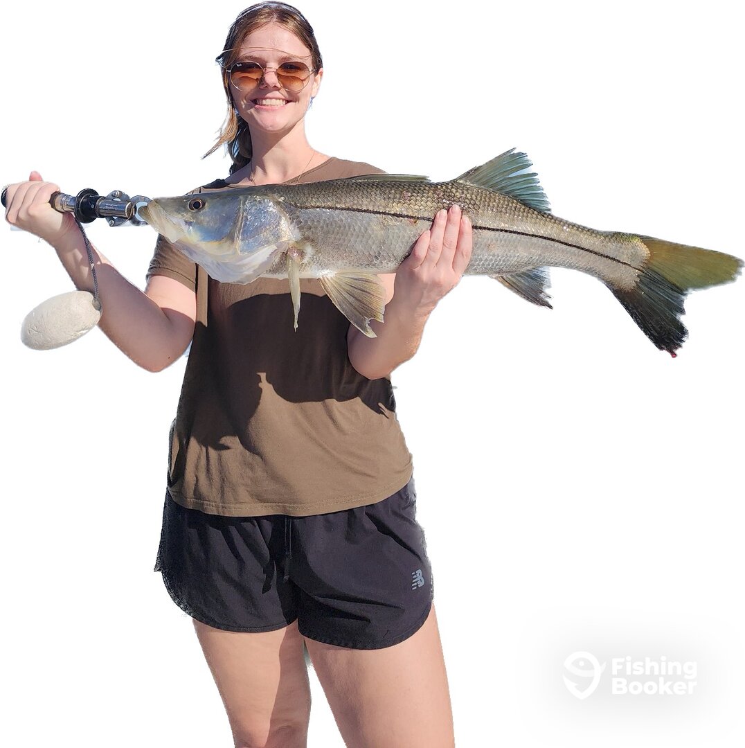 Cape Coral Report Photo 0