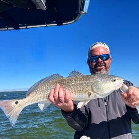 Cape Coral Report Photo 1