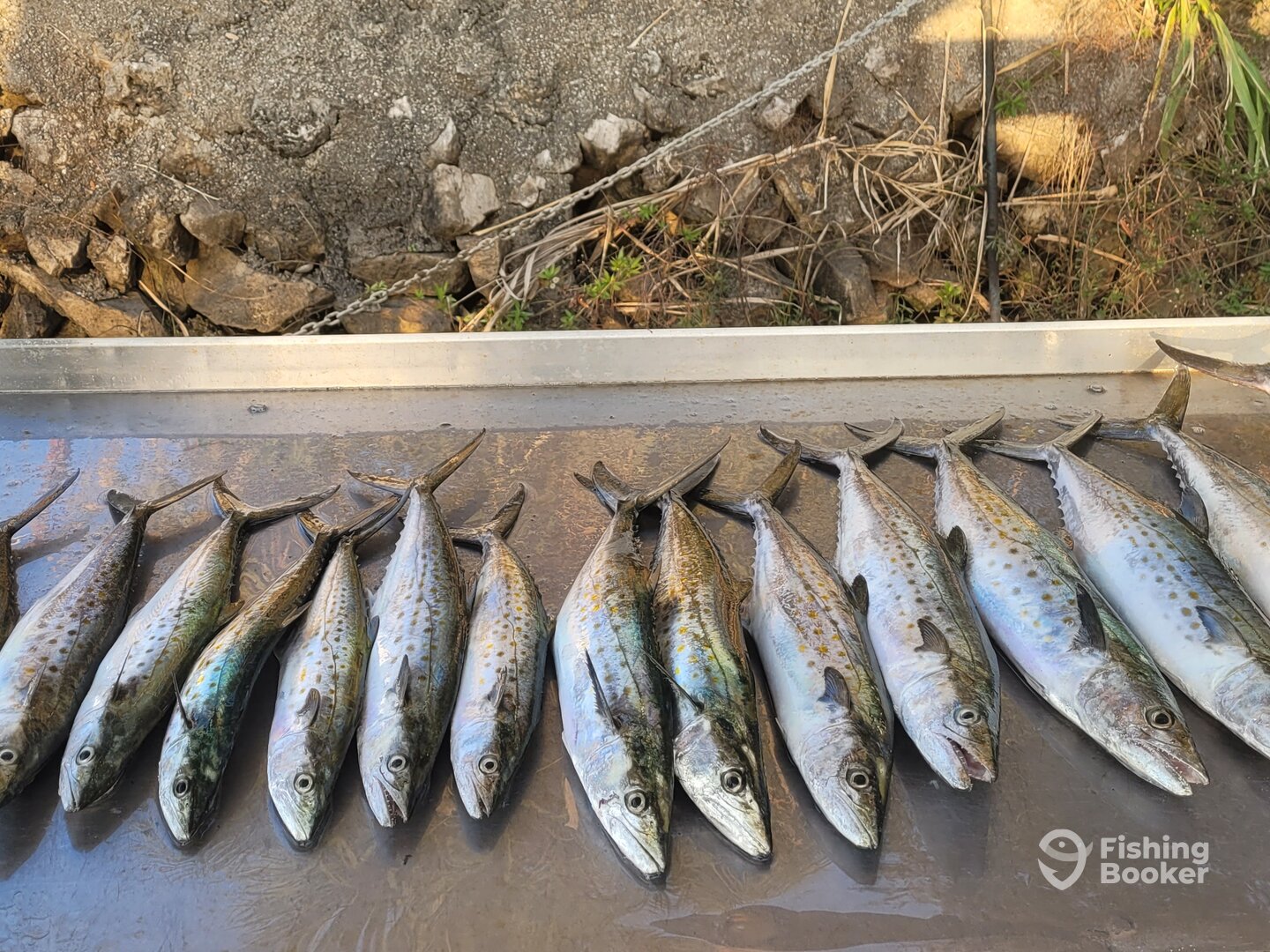 Crystal River Report Photo 0