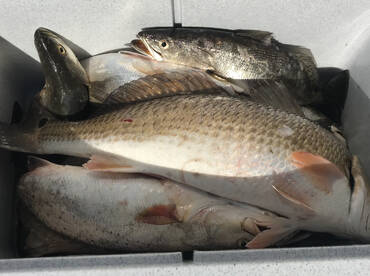 Galveston East Bay 2/4/2023