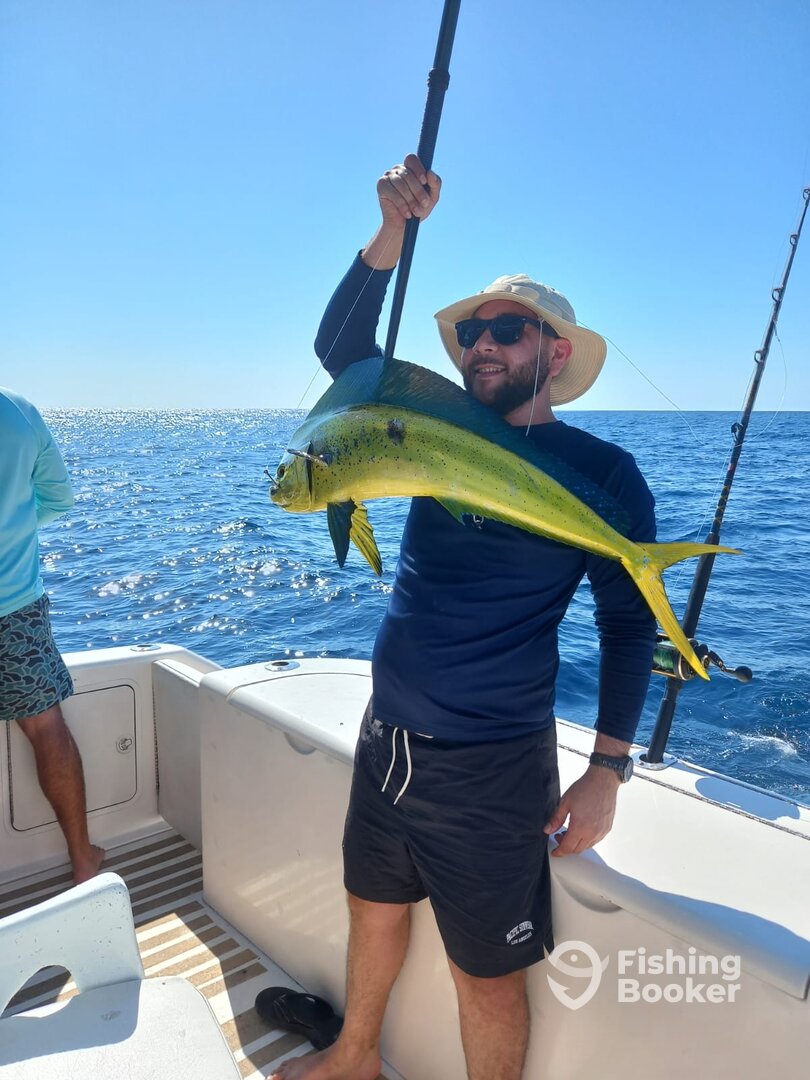 Cabo San Lucas Report Photo 0