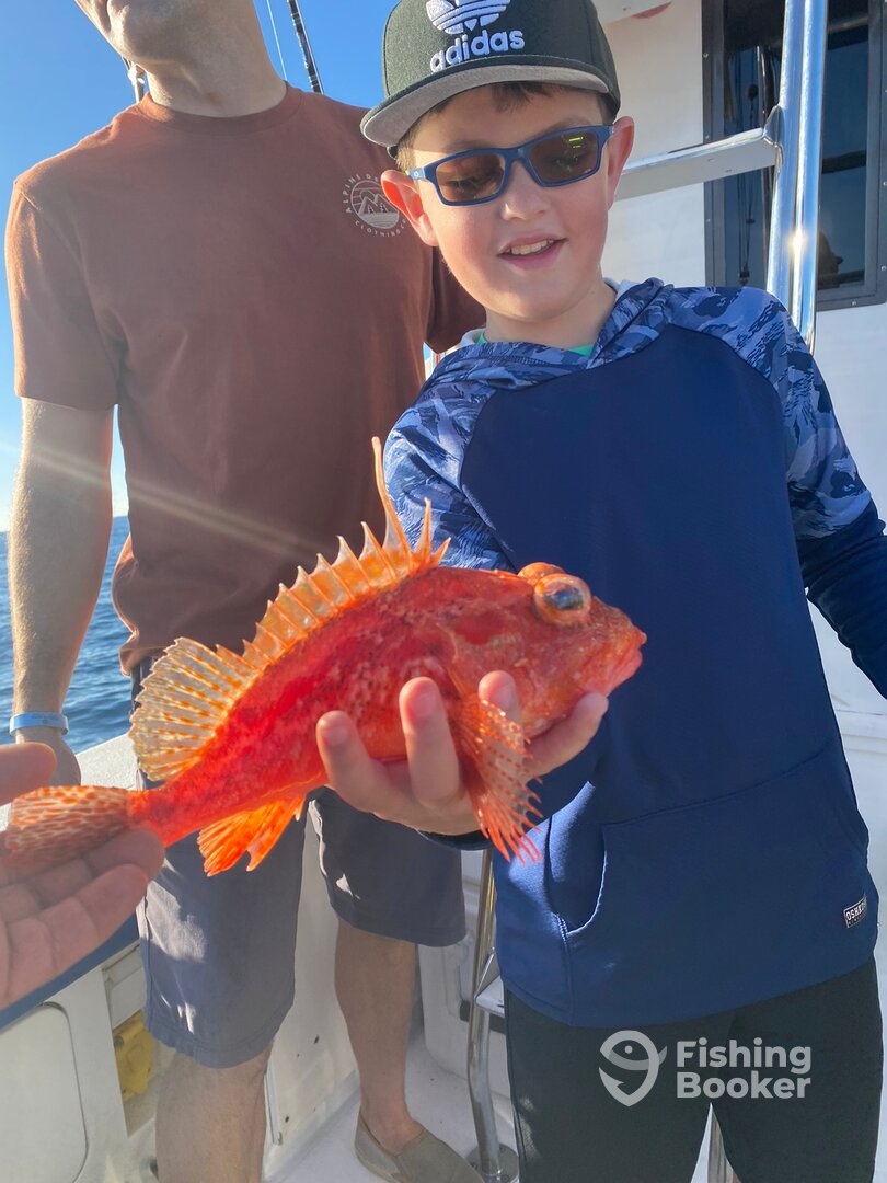Cabo San Lucas Report Photo 0