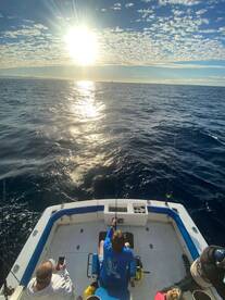 Cabo San Lucas Report Photo 2