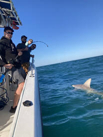 Port Orange Report Photo 2