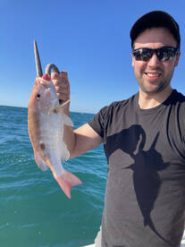Port Orange Report Photo 1