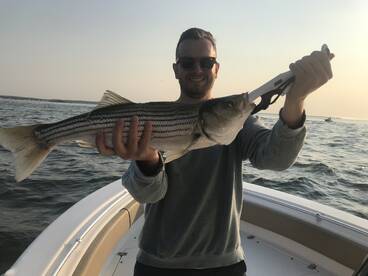 Spring Striper Run