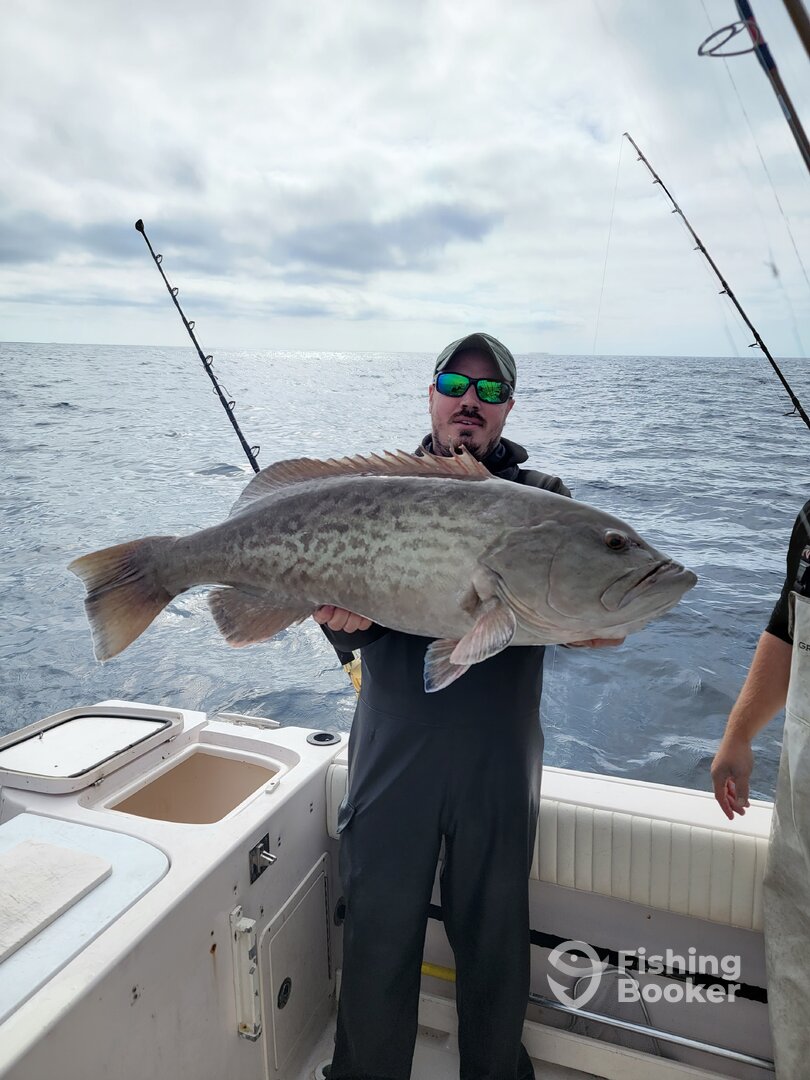 Clearwater Report Photo 0
