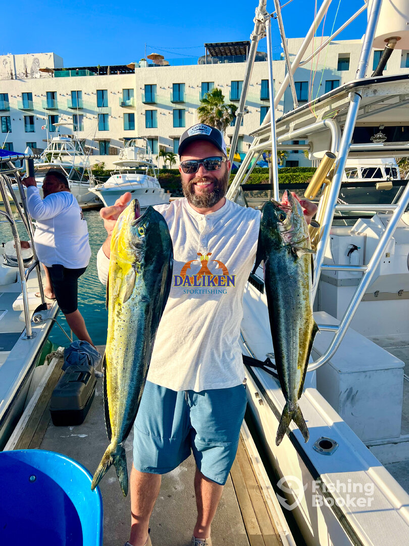 San Jose del Cabo Report Photo 0