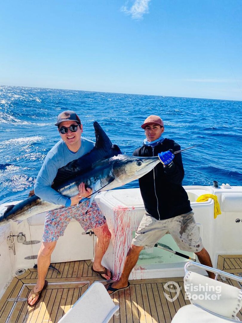 Cabo San Lucas Report Photo 0