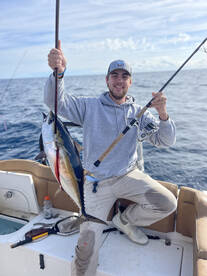 Blackfin Tuna on light tackle live bait!