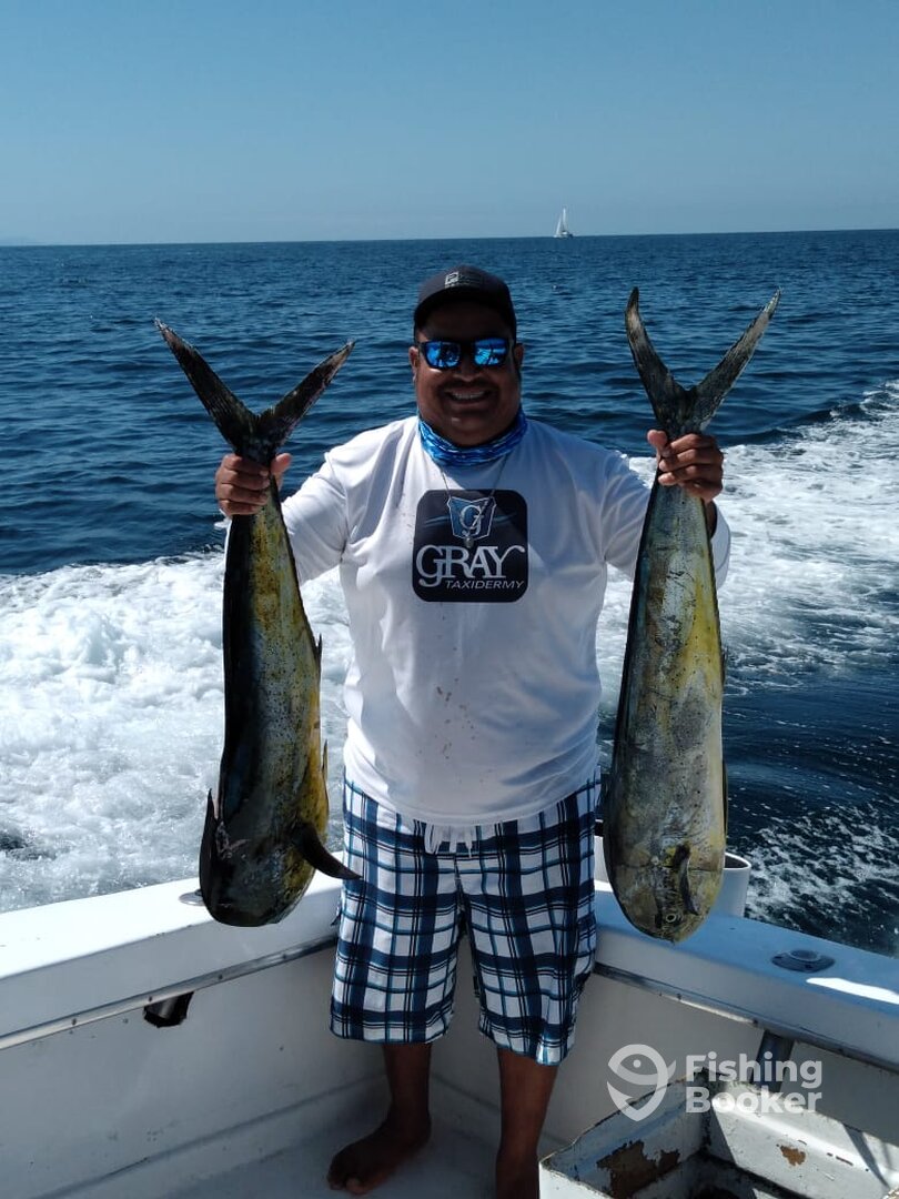 Puerto Vallarta Report Photo 0