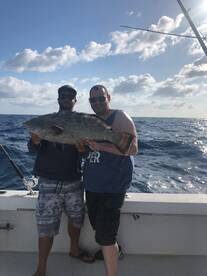 Dania Beach Report Photo 2