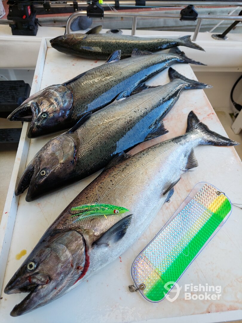 Bremerton Report Photo 0