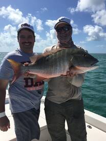Key Biscayne Report Photo 1
