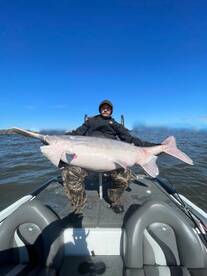 136 pound paddlefish!!! ??