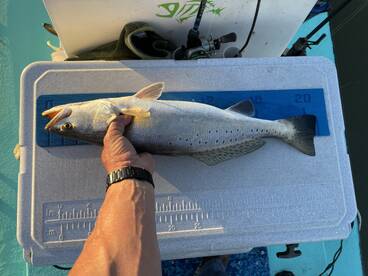 East Galveston Bay Fishing Report 2/11/2