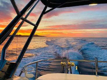 Cabo San Lucas Report Photo 1