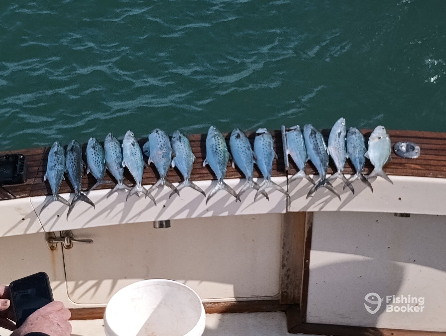 Port Canaveral Report Photo 0