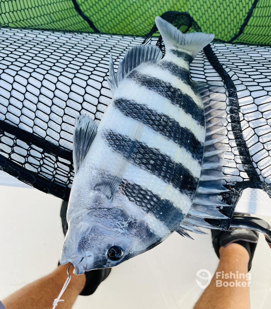 Cape Coral Report Photo 0