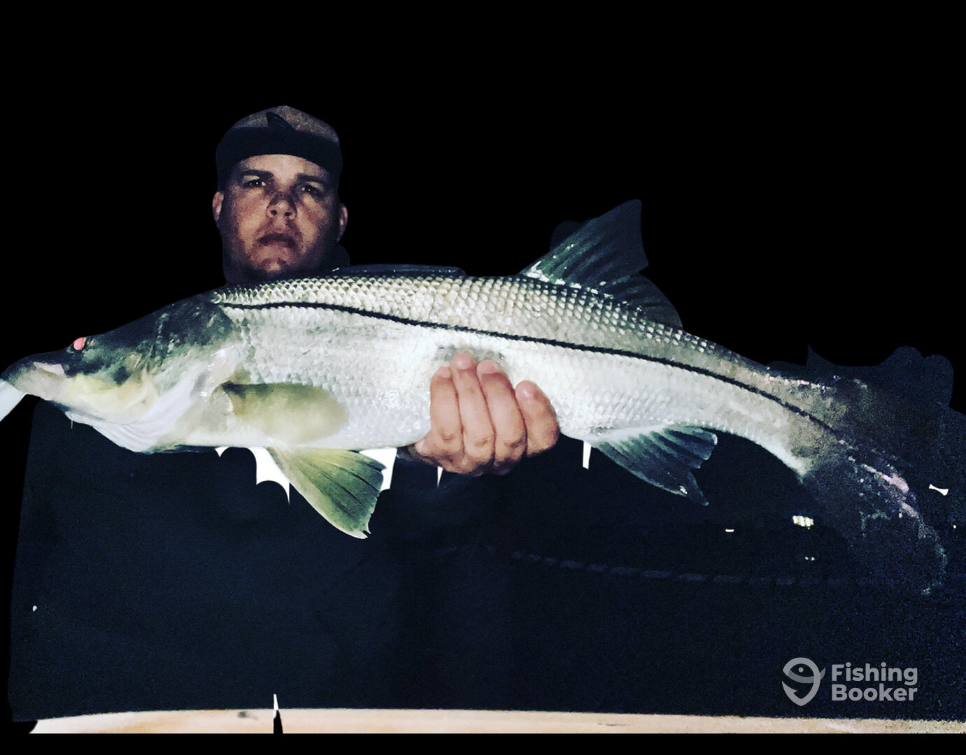 Cape Coral Report Photo 0
