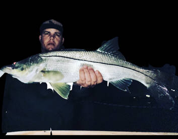 Snook fishing 