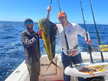 Playa Flamingo Report Photo 1