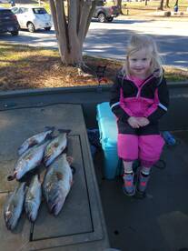 Some pigs  she caught