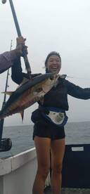 YellowFin Tuna