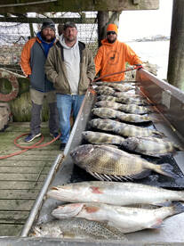 Surfside Beach Report Photo 1