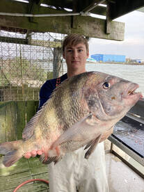 Surfside Beach Report Photo 2