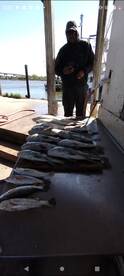 Texas City Report Photo 1