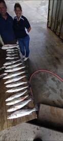 Texas City Report Photo 2