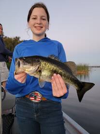 Orlando Report Photo 2