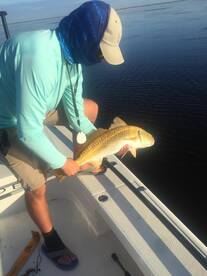 Titusville Report Photo 2