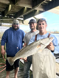 Surfside Beach Report Photo 1