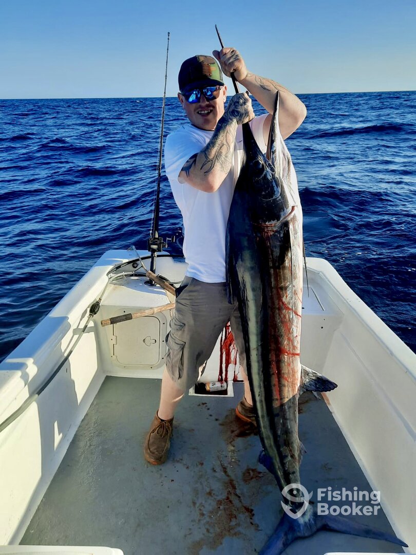 San Jose del Cabo Report Photo 0