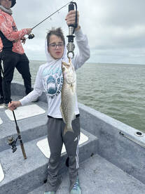 Crystal River Report Photo 2