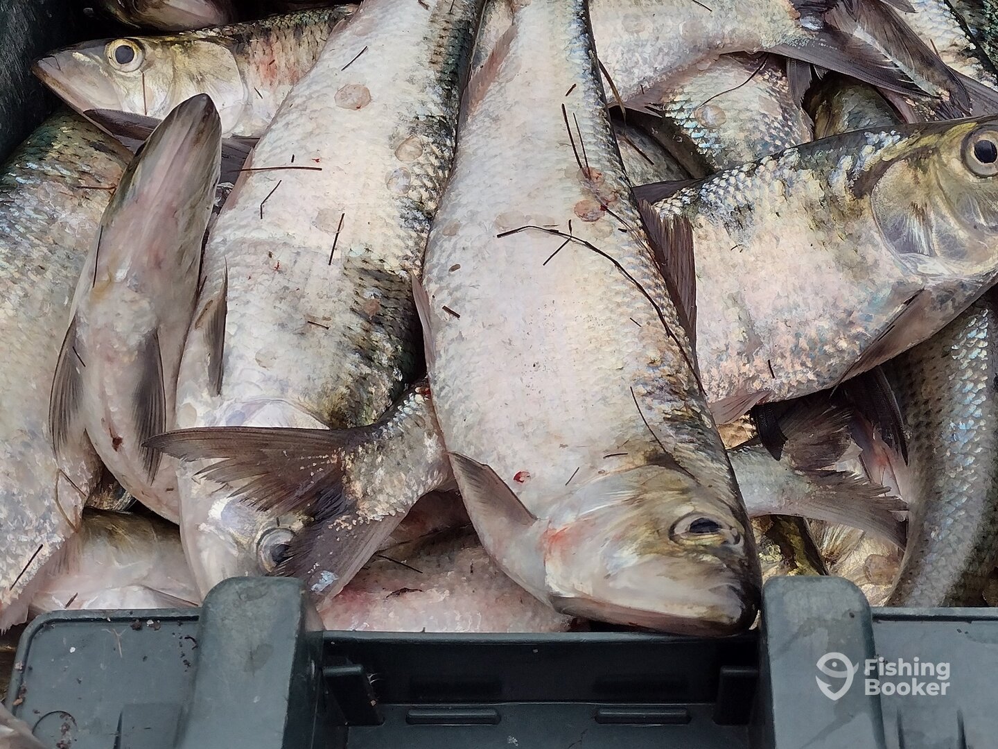 Weldon Report Photo 0