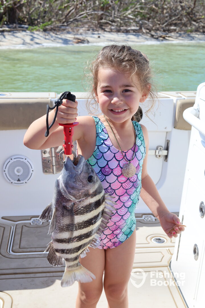 Sheepshead fishing nearshore