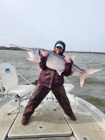 A absolute spoonbill spankdown 