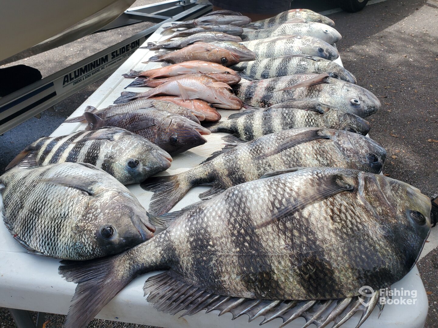 Bay Pines Report Photo 0
