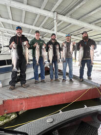 Winter steelhead is going good !! , with