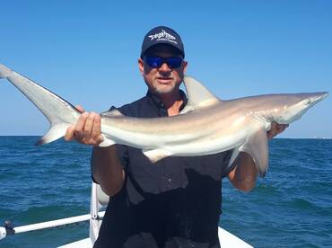 Average sized, local Black Tip.