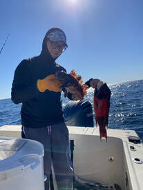 San Diego Report Photo 2