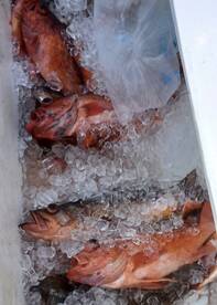 02/04/2023 9hr Coastline