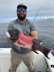 02/05/2023 9hr Coronados