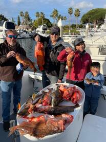 02/12/2023 AM Halfday